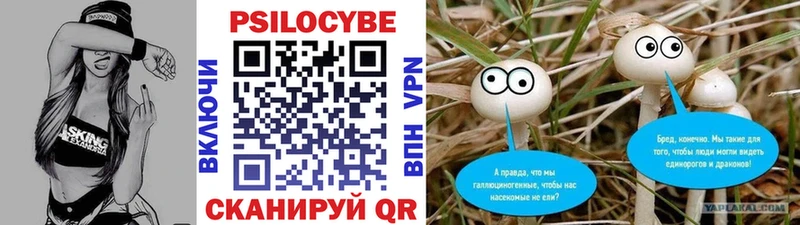 Псилоцибиновые грибы Psilocybe  наркота  Южно-Сухокумск 